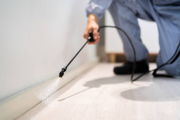 Certified termite inspector examining foundation in Fair Plain