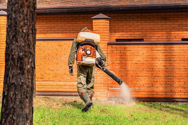 Top rated local Ant Control specialists in Fair Plain, MI